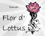 Flor d' Lottus