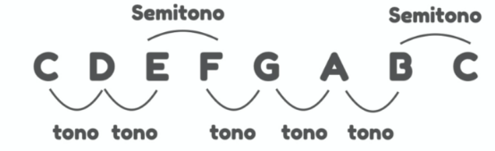 Tonos y semitonos para aprender cómo estudiar teoría musical