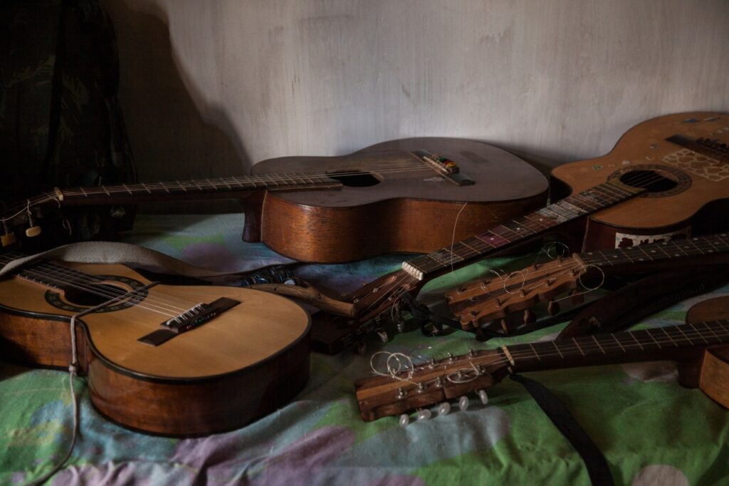 Violas caipiras em cima de uma cama