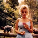 Imagen del artista Marilyn Monroe