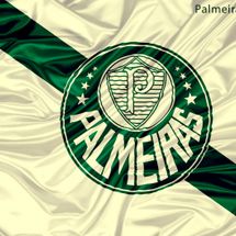 Palmeiras Fotos 5 Fotos Letras Mus Br