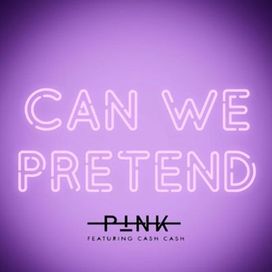 Can We Pretend Discografia De P Nk Letras Mus Br
