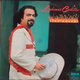 discografia de lindomar castilho discografia de lindomar castilho