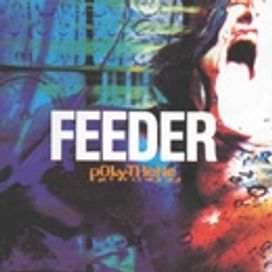 Echo Park Discografia De Feeder Letras Com