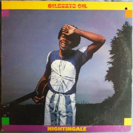 Nightingale Discografia De Gilberto Gil Letras Com