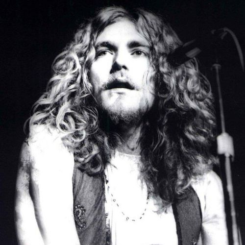 Tall Cool One Robert Plant Letra Da Musica Cifra Club