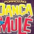 Forrozão Dança Mulé