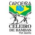 Imagen del artista Capoeira Celeiro de Bambas