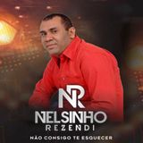 NELSINHO  REZENDI    2013