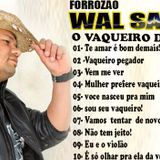 Wal Santana O Vaqueiro das Alagoas