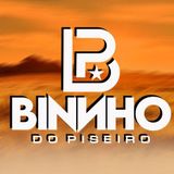 Binho do Piseiro