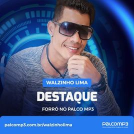 Imagem de Walzinho Lima