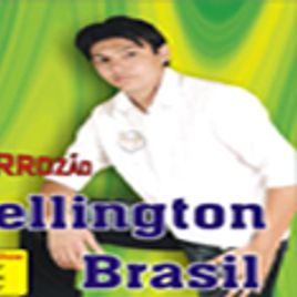 Imagem de wellington brasil