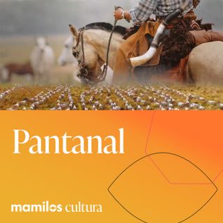 Mamilos Cultura 59: Pantanal - terra, afeto e relações