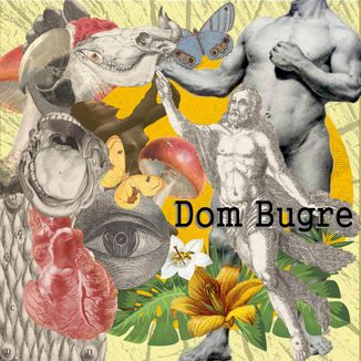 Capa do disco