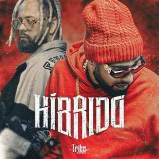 Foto da capa: Híbrido