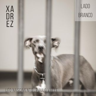 Capa do disco