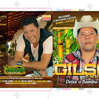 Foto da capa: GILSON E SEUS TECLADOS VOL.11