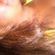 Imagem de perfil de Janine de Jesus Silva