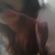 Imagem de perfil de Anna Luisa