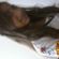 Imagem de perfil de Yasmin