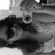 Imagem de perfil de Ingrid Gabriele Siqueira