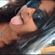 Imagem de perfil de Anna Catharina