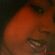 Imagem de perfil de LORIANA