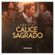 Imagem de perfil de MINISTERIO CALICE SAGRADO
