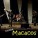 Imagem de perfil de Banda Macacos