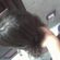 Imagem de perfil de Marina Cavalcante Silveira