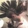 Imagem de perfil de Priscila