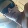 Imagem de perfil de Andrey coelho