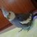 Imagem de perfil de Maria Eduarda