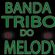 Imagem de Banda Tribo do Melody
