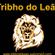 Imagem de Tribho do Leão