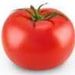 foto de tomate tomatinho