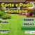 Borges Fran Silva