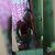 Maite lopez