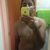 jose carlos batista