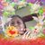 Arlison Rodrigues