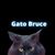 gato bruce - Official