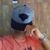 Dgabi