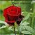 Mateus Soares
