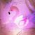Helloannaqueiroz52