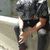 GUSTHAVO abrantes