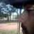 Cleiton Rafael