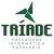 Triade Info