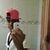 Guilherme Walter