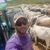 Marcow Araujo Rodeigues